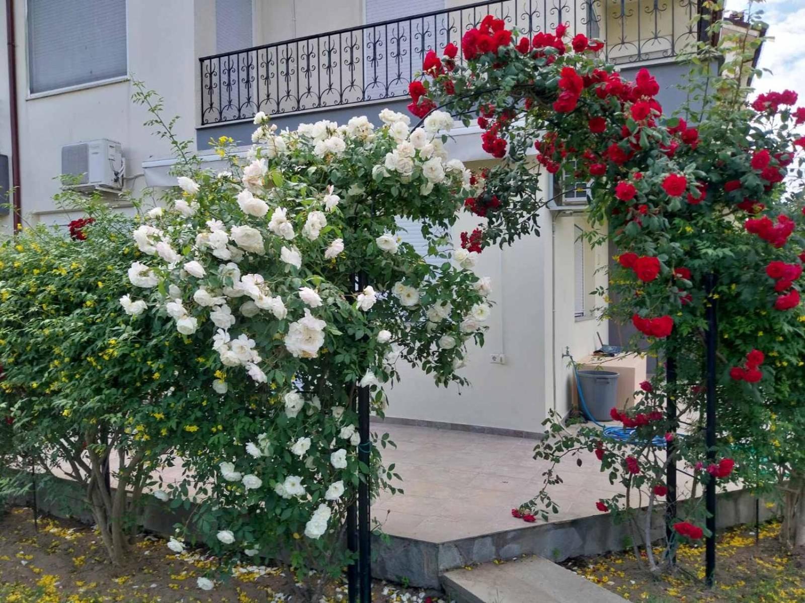 Erofilio Apartment Keramoti  Exterior photo